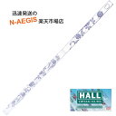 クリスタルフルート D管 HALL CRYSTAL Flute D Offset Delft 全長553mm 