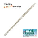 クリスタルフルート D管 HALL CRYSTAL Flute D Offset Melody 全長553mm 