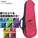【湿度調整剤DRY CONDITION付】オルカス ソプラノウクレレ用 ウルトラライトケース ピンク 桃色 ORCAS Ultra Light Case Soprano Pink OULC-1 PNK