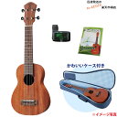 特別価格【ウクレレ入門セット】ソプラノウクレレ アヌエヌエ aNueNue aNN-U1 フェイマス はじめてのウクレレ本 と かわいいケース、クリップチューナ...