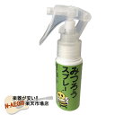 みつろうスプレー 蜜蝋ワックス スプレータイプ 楽器や家具などに クリア 保湿・保護ワックス ギターワックス ギター用ワックス 日本娯楽