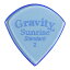 グラビティギターピック ギター用ピック GSUS2P - Sunrise Standard 2.0mm, Blue