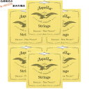 【ポイント5倍!サマーセール】【6set】アキーラ テナーウクレレ弦 LOW-G単品弦(単線) AQUILA AQ-LOW-G/T 16U UKULELE ST...