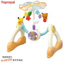 モンポケ 7ステップメリージム トイローヤル Toyroyal No.6060 ポケモンのベビーブランド おもちゃ 玩具