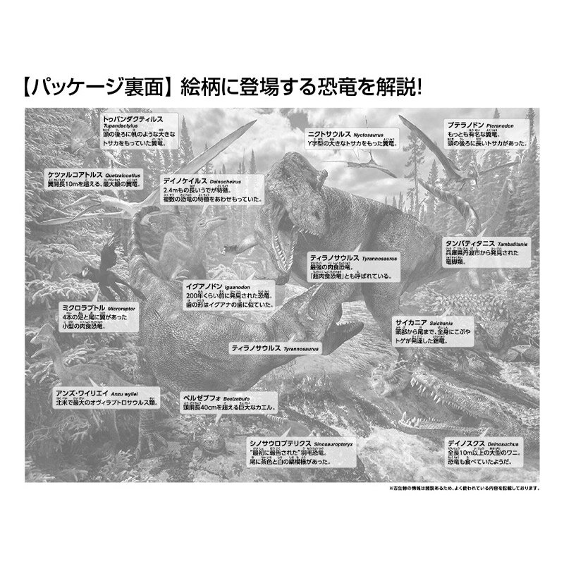 【正規輸入品!今だけ新品大特価】MARTIN ...の紹介画像2