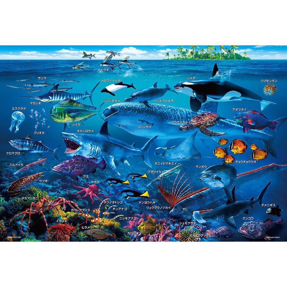 ジグゾーパズル 海の生物おぼえちゃおう！ 100-029 BEVERLY ビバリー