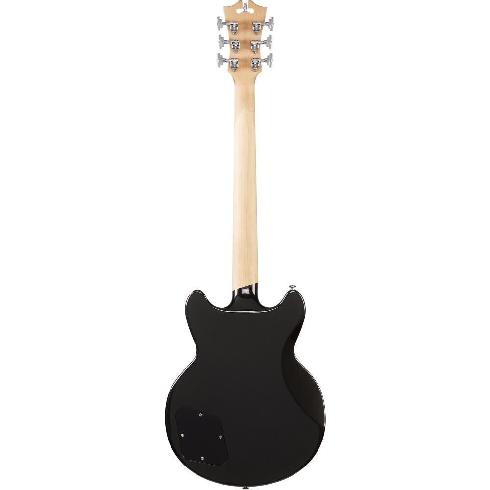 D'Angelico ギター Premier Brighton Black Flake