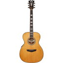 D'Angelico ギター Premier Tammany Vintage Natural