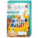 【ポイント10倍! 6日までお休み期間セール】パズル ロジカルニュートン エジソンの電球 Hanayama ハナヤマ