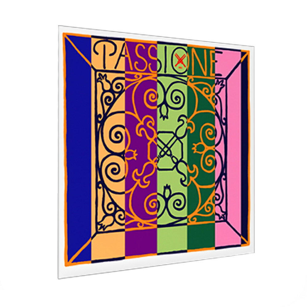 PIRASTRO パッションソロ バイオリン弦 A線 4/4 GUT/ALUMINIUM VIOLIN PASSIONE SOLO 2192 A Envelope 219281
