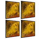 PIRASTRO エヴァピラッツィ ゴールド ビオラ弦 A(3231) D(3232) G(4253) C(3234) セット VIOLA EVAH PIRAZZI GOLD ADGC SET