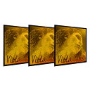 PIRASTRO エヴァピラッツィ ゴールド ビオラ弦 D(3232) G(3233) C(4254) セット VIOLA EVAH PIRAZZI GOLD DGC SET