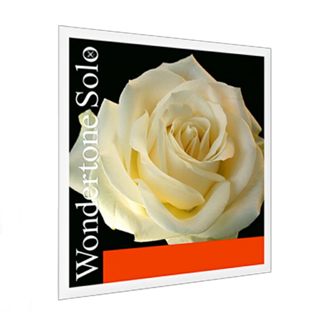 ・バイオリン弦 ・A線 材質：アルミニウム サイズ：4/4