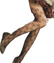 DCMR SEXY Tights & Stockings 誘惑 の 香り 漂う ファッション 花がら レース ストッキング タイツ やわらか 素材 で 心地良い...