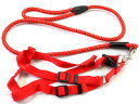 DCMR ペット用品 リード 引き紐 胸 固定式 安全 ベルト 赤 長; 120cm 紐幅;0.8cm 小型用(4)