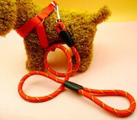 DCMR ペット用品 リード 引き紐 胸 固定式 安全 ベルト 赤 長; 120cm 紐幅;0.8cm 小型用