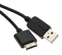 DCMR p\Rpi PSV1000 USB [d P[u \j[ 1_