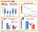 スベラカーゼミート 1kg【フードケア】【送料無料】【介護食】 3