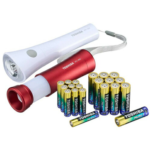 륫ñ310 륫ñ410 LED LED󥿥դ饤 å X-BOUSAI-SET2 ǡTOSH...
