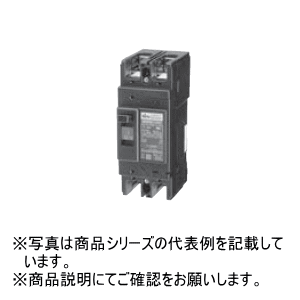 칩 [NE] åȥ֥졼ʷкѷ NE52A 2P 30A NE52A2P30A
