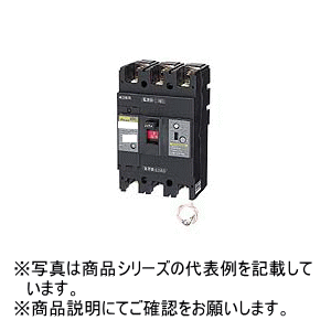 日東工業 [NE-N] 単3中性線欠相保護付サーキットブレーカ（経済形） NE228NA 3P 200A 【NE228NA3P200A】