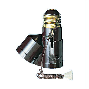 パナソニック 2号新国民ソケット WH1021