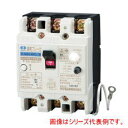 河村電器 enステーション分電盤用 漏電ブレーカ(単3中性線欠相保護付) ZLGS 63-50TL-30