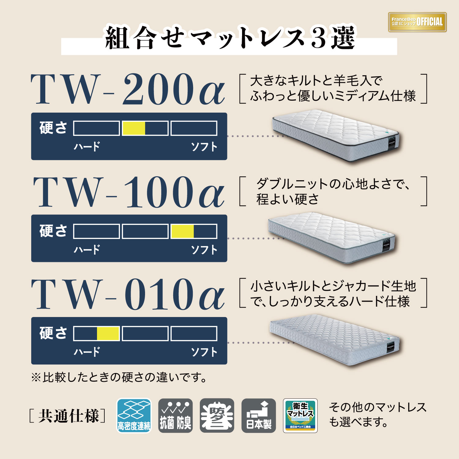 フランスベッド プレミア70 マットレスセット PR70-05F-LGS-TW-100 脚付き(LG) シングル（S） 3