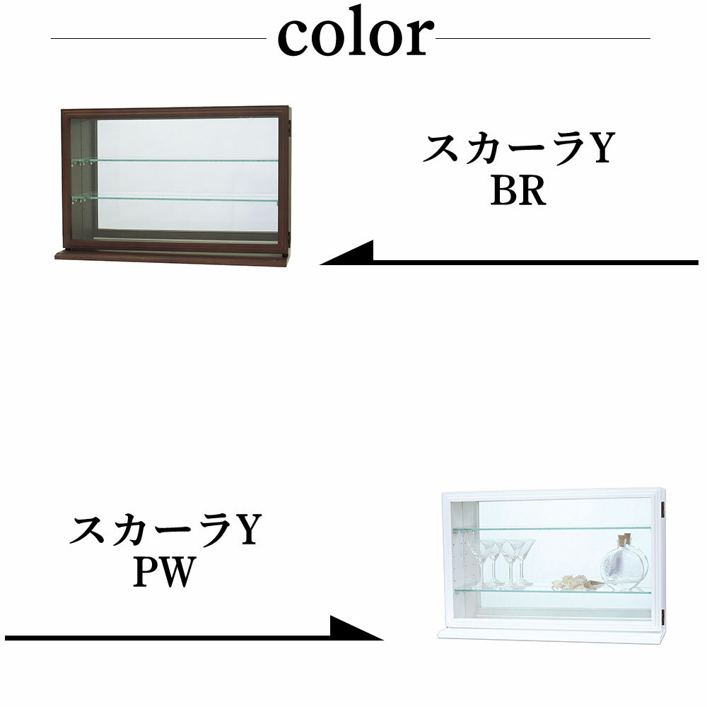 塩川光明堂 カルトーネ スカーラY 2