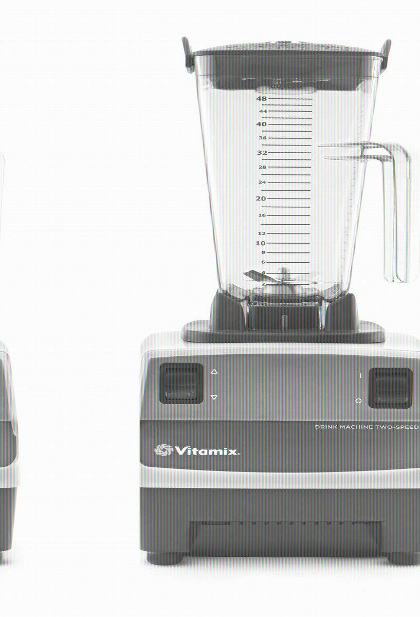 バイタミックス　ドリンクマシーン10095　2スピード