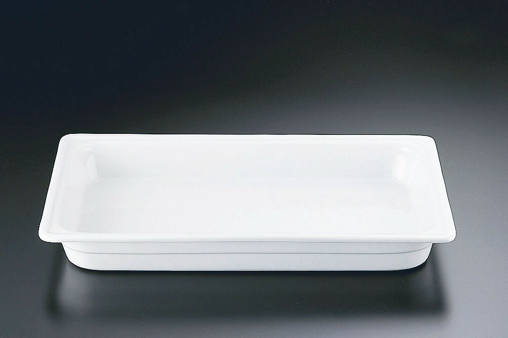 TKG　EC　ガストロノームディッシュ1／1　65　EPA208