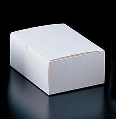 エコ洋生　サービスボックス20-152　4号　100枚入