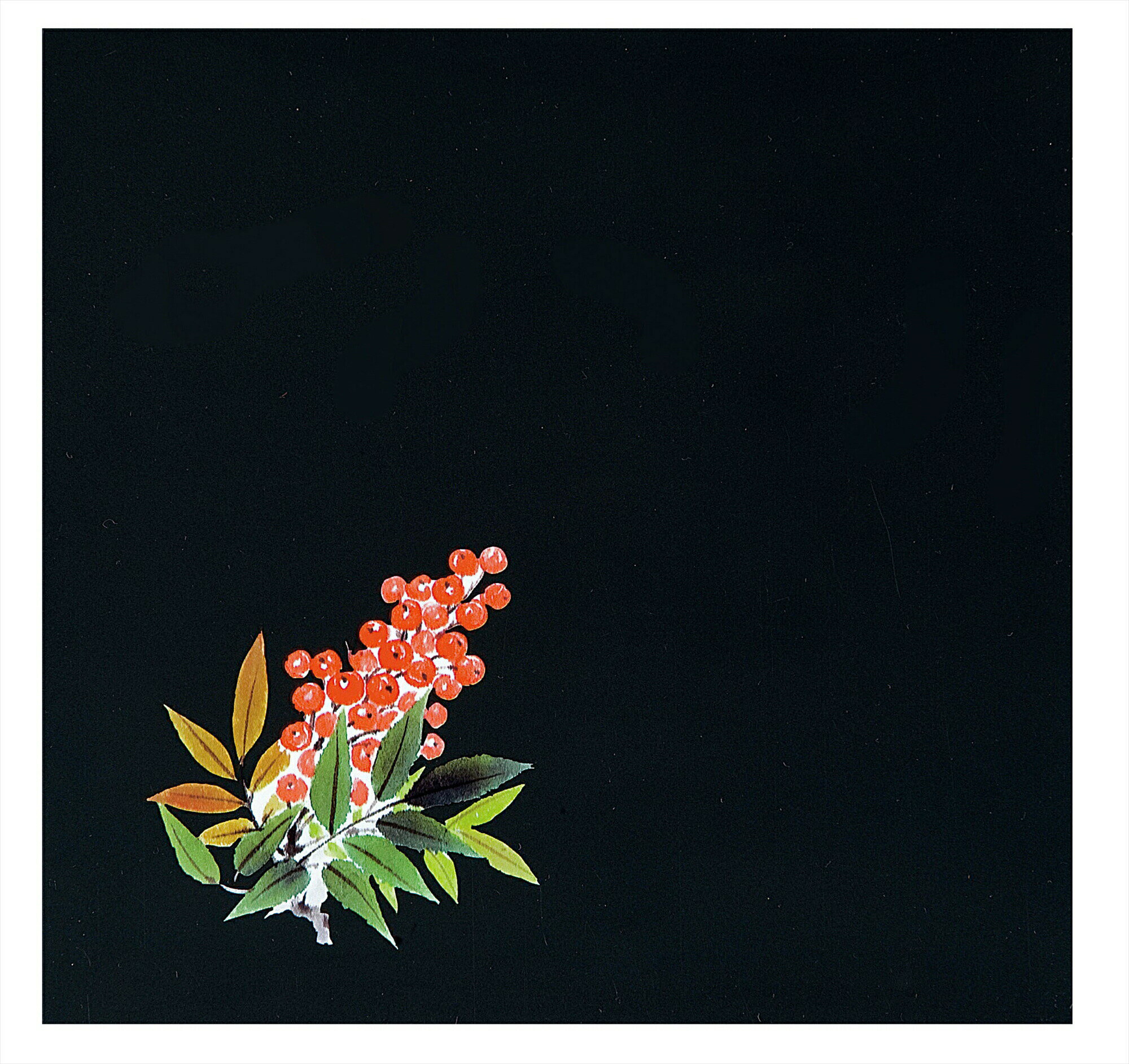 OPクリア四季　南天（200枚入） OS−15−4