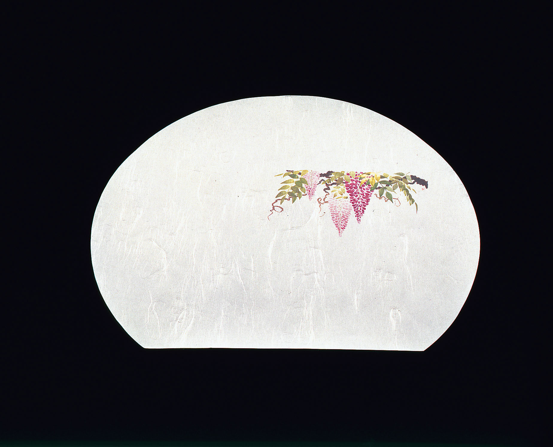 尺3半月四季懐石まっと（50枚入） 藤