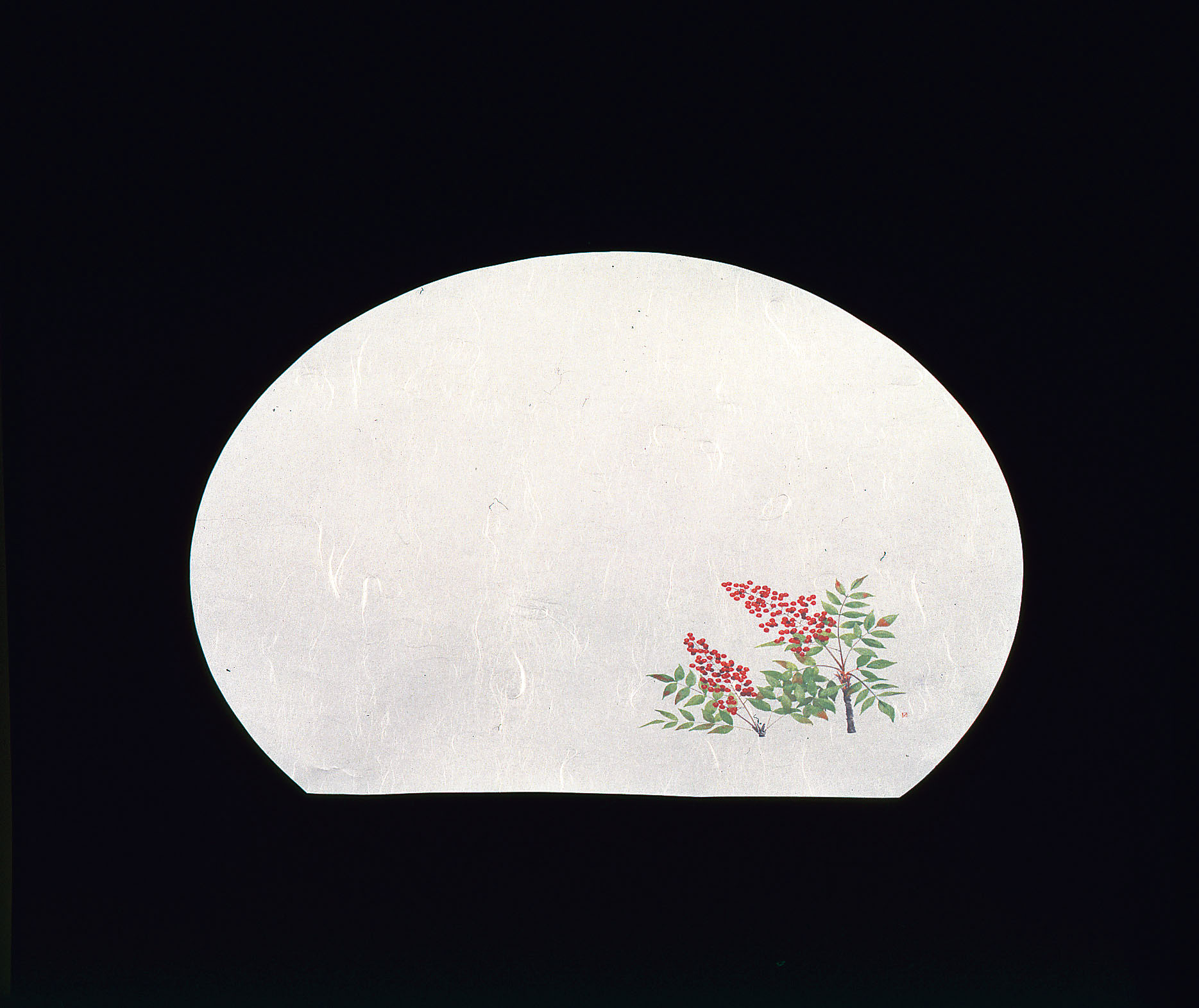 尺3半月四季懐石まっと（50枚入） 南天