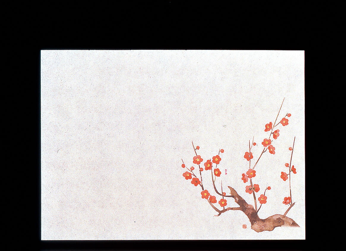 遠赤保鮮紙　小　（100枚入）　梅