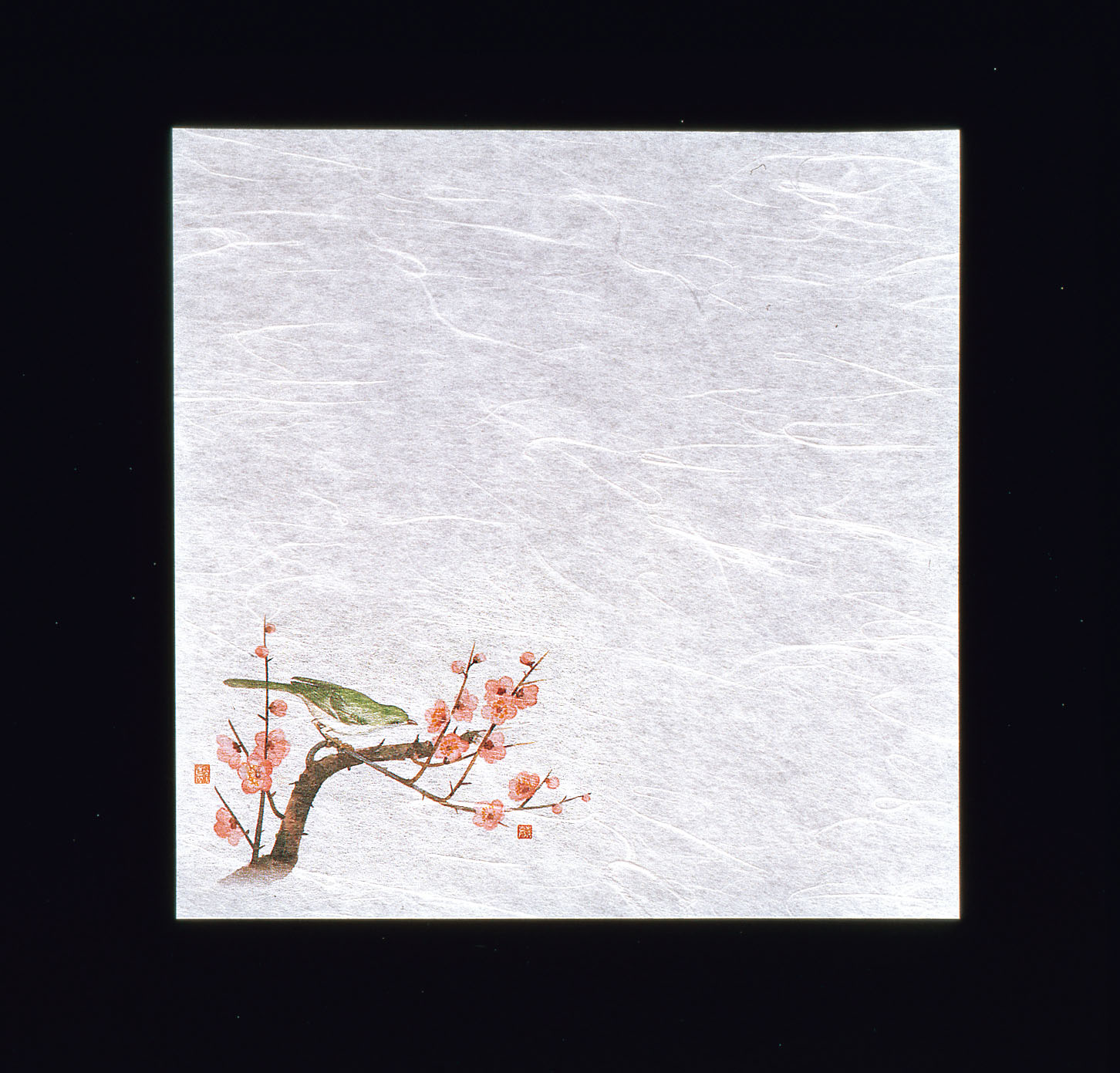 新・濡れ奉書紙（100枚入）　梅