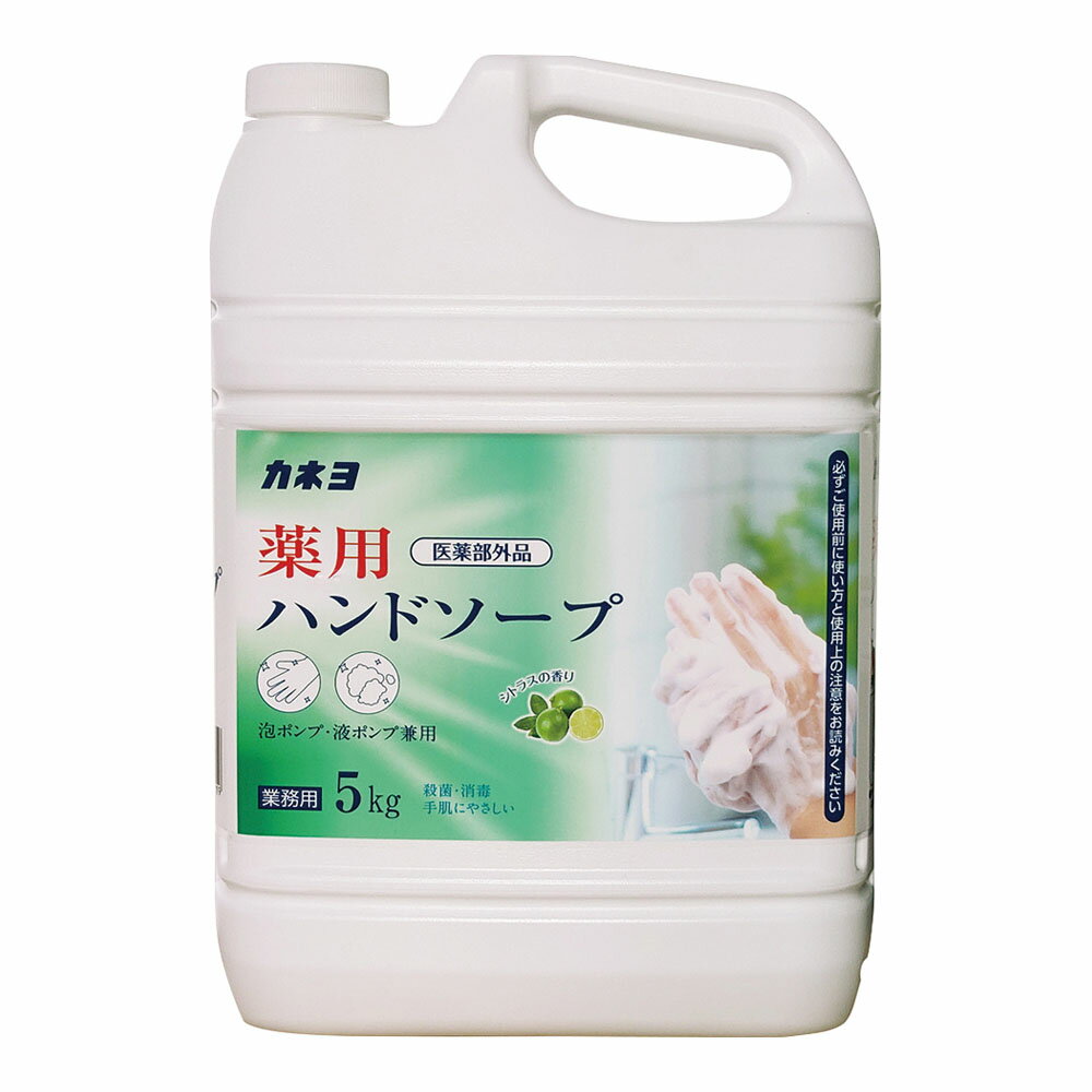 カネヨ 薬用泡ハンドソープ（医薬部外品） 5kg（新）