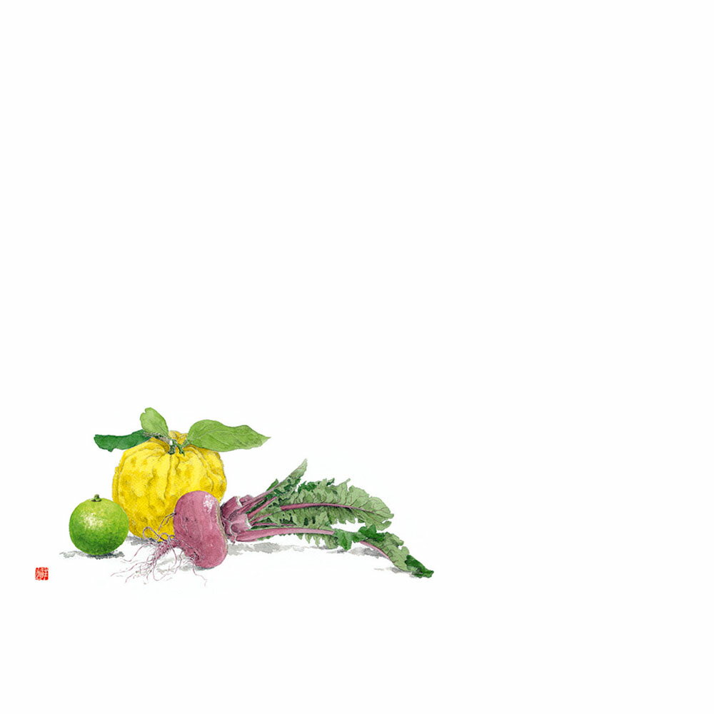 尺3　テーブルマット（100枚入） 鬼柚子と赤カブ　No.531