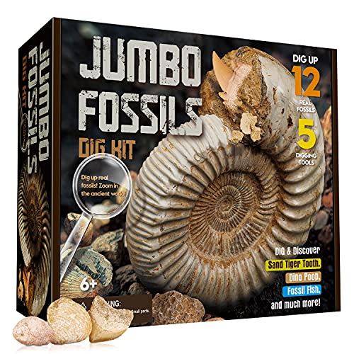 XXTOYS化石発掘キット：ブロック（12つの化石を込み）、発掘ツール、収納ボックスと説明書を含みます。提供するツールでブロックを掘って、化石を掘り出したら、拡大鏡を取って、説明書を読んで彼らをもっと了解しましょう！提供している収納ボックス...