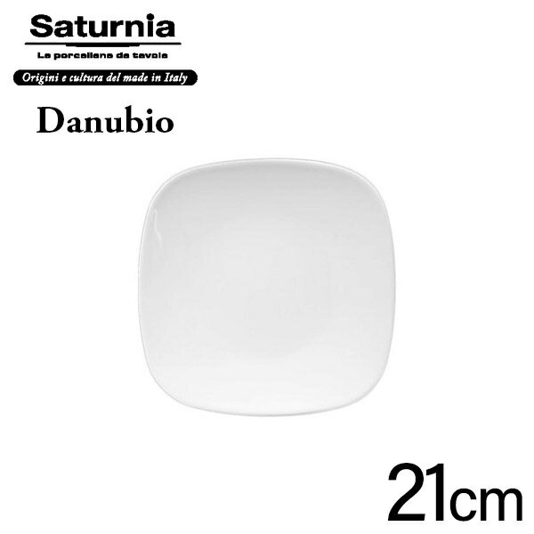 Saturnia Danubio プレート 21 (L-6) ビストロ バル トラットリア サタルニア ダヌビオ D2311