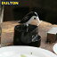 DULTON BIRD TOOTHPICK SERVER ֡S216-81 ȥ ȥꥢ ꥫ ơ  С ȥԥåС