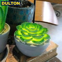 【5/1限定、全品P5倍〜12倍】DULTON ECHEVERIA L.E.D LIGHT TYPE-A (品番：G755-915A) ダルトン インダストリアル アメリカン ヴィンテージ 男前 エケベリアLEDライト