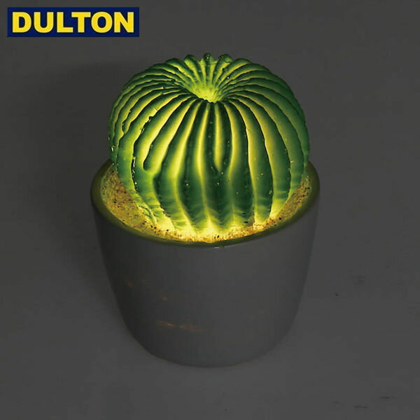 DULTON CACTUS L.E.D LIGHT TYPE-A (品番：G755-916A) ダルトン インダストリアル アメリカン ヴィンテージ 男前 カクタスLEDライトA