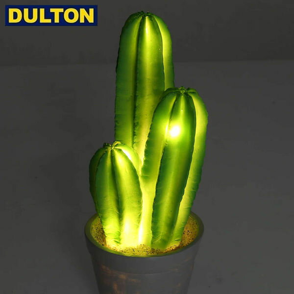 DULTON CACTUS L.E.D LIGHT TYPE-B (品番：G755-916B) ダルトン インダストリアル アメリカン ヴィンテージ 男前 カクタスLEDライトB