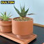 DULTON ƥ饳å ݥå  TERRACOTTA POT CALMCODEG20-0235CA ȥ ȥꥢ DIY  ƥꥢ