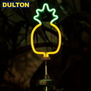 【店内全品ポイント10倍】DULTON SOLAR NEON LIGHT PINE ソーラー ネオン ライト パイン 【品番：NB-0543PA】 ダルトン インダストリアル アメリカン ヴィンテージ 男前 D2310