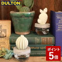 【店内全品ポイント10倍】DULTON カクタス フレグランス ディフューザー A CACTUS FRAGRANCE DIFFUSER A ELEGANT PEONY G675-824A-EP ダルトン