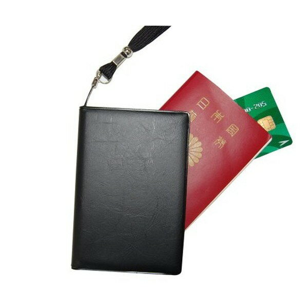【廃】スキミング防止 パスポートカバー AEGIS ブラック 6502