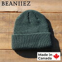【長期欠品中につき、入荷次第の予約販売】Beaniiez 『Accent Acrylic』 Alpine Green カナダ製 ショートビーニー ニットキャップ アクリル ユニセックス 洗濯可